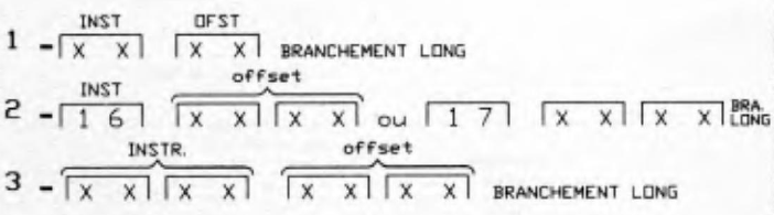 branch offset